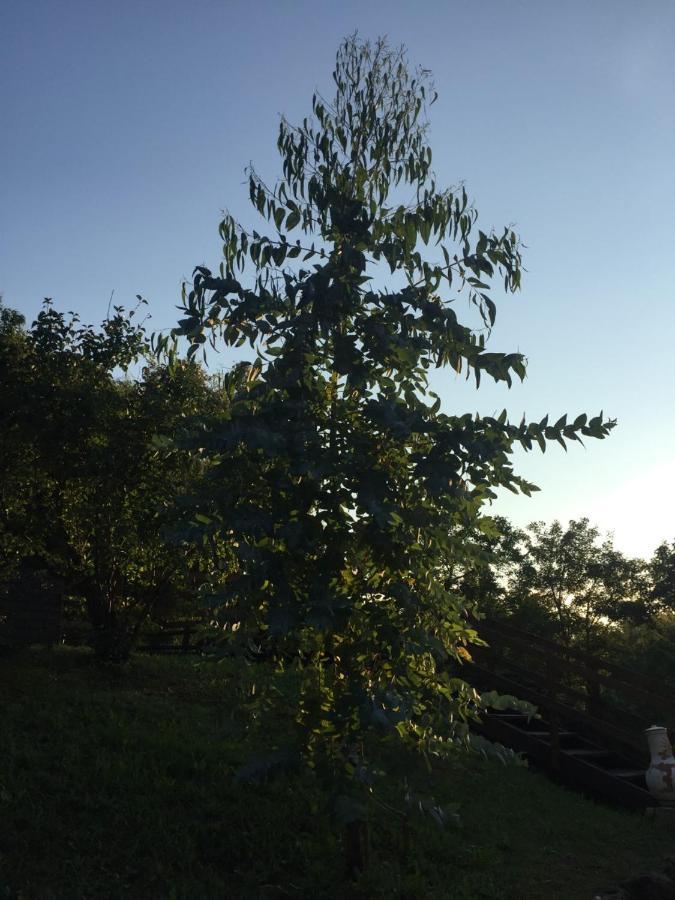 Au Son De L Angelus Bed & Breakfast Moncrabeau Dış mekan fotoğraf